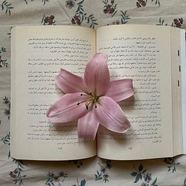 عضو الفريق